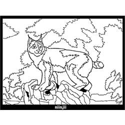 Раскраска: рысь (Животные) #10814 - Раскраски для печати