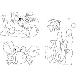 Раскраска: Морские животные (Животные) #21982 - Бесплатные раскраски для печати