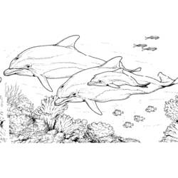 Раскраска: Морские животные (Животные) #21985 - Бесплатные раскраски для печати