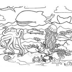 Раскраска: Морские животные (Животные) #21989 - Раскраски для печати