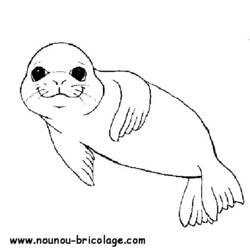 Раскраска: Морские животные (Животные) #21994 - Раскраски для печати