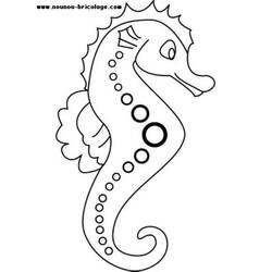 Раскраска: Морские животные (Животные) #21995 - Раскраски для печати