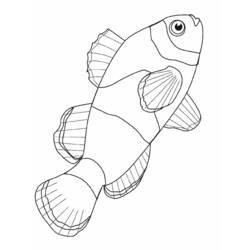 Раскраска: Морские животные (Животные) #22016 - Раскраски для печати