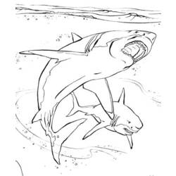 Раскраска: Морские животные (Животные) #22017 - Бесплатные раскраски для печати