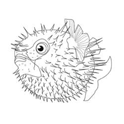 Раскраска: Морские животные (Животные) #22034 - Раскраски для печати