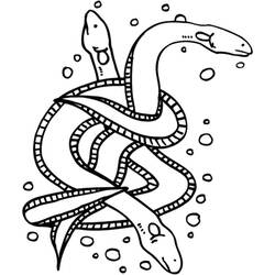 Раскраска: Морские животные (Животные) #22056 - Бесплатные раскраски для печати