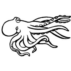 Раскраска: Морские животные (Животные) #22067 - Бесплатные раскраски для печати