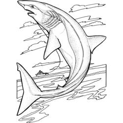 Раскраска: Морские животные (Животные) #22073 - Бесплатные раскраски для печати