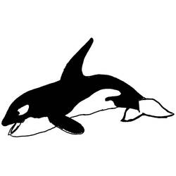 Раскраска: Морские животные (Животные) #22084 - Раскраски для печати