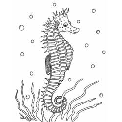 Раскраска: Морские животные (Животные) #22122 - Бесплатные раскраски для печати