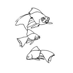 Раскраска: Морские животные (Животные) #22127 - Бесплатные раскраски для печати