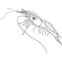 Раскраска: Морские животные (Животные) #22128 - Бесплатные раскраски для печати
