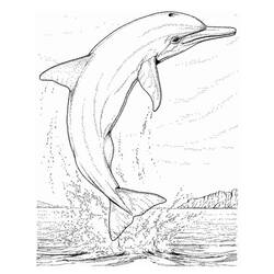 Раскраска: Морские животные (Животные) #22143 - Бесплатные раскраски для печати