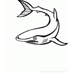 Раскраска: Морские животные (Животные) #22144 - Бесплатные раскраски для печати