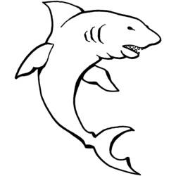 Раскраска: Морские животные (Животные) #22170 - Бесплатные раскраски для печати