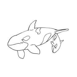 Раскраска: Морские животные (Животные) #22181 - Бесплатные раскраски для печати