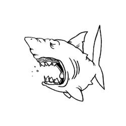 Раскраска: Морские животные (Животные) #22197 - Бесплатные раскраски для печати