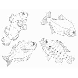 Раскраска: Морские животные (Животные) #22222 - Бесплатные раскраски для печати