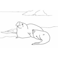 Раскраска: Морские животные (Животные) #22234 - Бесплатные раскраски для печати