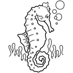 Раскраска: Морские животные (Животные) #22235 - Бесплатные раскраски для печати