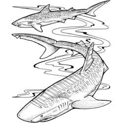 Раскраска: Морские животные (Животные) #22244 - Бесплатные раскраски для печати
