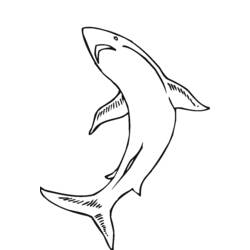 Раскраска: Морские животные (Животные) #22255 - Бесплатные раскраски для печати