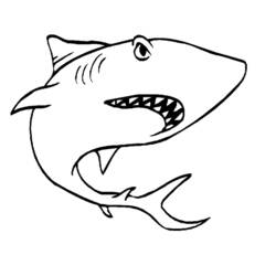 Раскраска: Морские животные (Животные) #22275 - Раскраски для печати