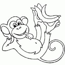 Раскраска: обезьяна (Животные) #14145 - Раскраски для печати