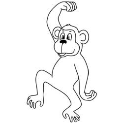 Раскраска: обезьяна (Животные) #14164 - Раскраски для печати