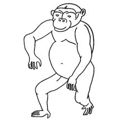 Раскраска: обезьяна (Животные) #14187 - Бесплатные раскраски для печати