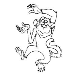 Раскраска: обезьяна (Животные) #14224 - Бесплатные раскраски для печати