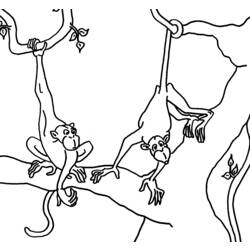 Раскраска: обезьяна (Животные) #14232 - Бесплатные раскраски для печати