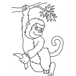 Раскраска: обезьяна (Животные) #14254 - Раскраски для печати