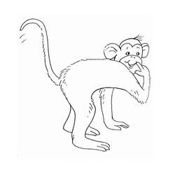 Раскраска: обезьяна (Животные) #14278 - Бесплатные раскраски для печати