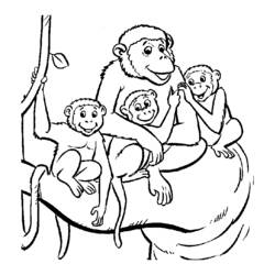 Раскраска: обезьяна (Животные) #14290 - Раскраски для печати