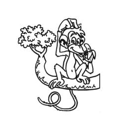 Раскраска: обезьяна (Животные) #14327 - Бесплатные раскраски для печати
