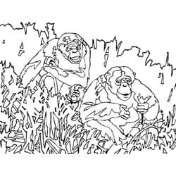 Раскраска: обезьяна (Животные) #14331 - Бесплатные раскраски для печати