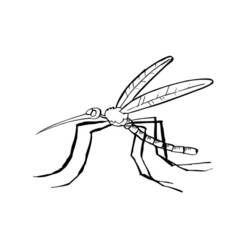 Раскраска: комар (Животные) #11326 - Раскраски для печати