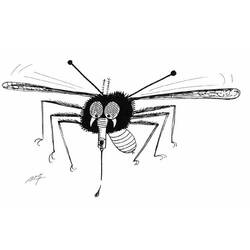 Раскраска: комар (Животные) #11341 - Раскраски для печати
