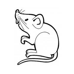Раскраска: мышь (Животные) #13937 - Раскраски для печати