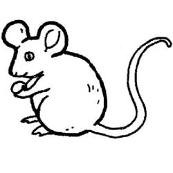Раскраска: мышь (Животные) #13938 - Раскраски для печати