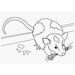 Раскраска: мышь (Животные) #13963 - Раскраски для печати