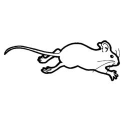 Раскраска: мышь (Животные) #13985 - Раскраски для печати