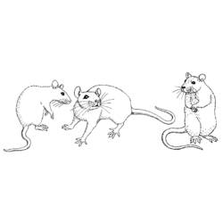 Раскраска: мышь (Животные) #14056 - Раскраски для печати