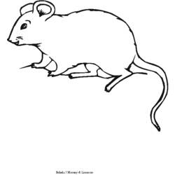 Раскраска: мышь (Животные) #14111 - Раскраски для печати