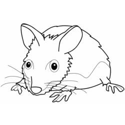 Раскраска: мышь (Животные) #14130 - Бесплатные раскраски для печати