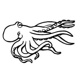 Раскраска: осьминог (Животные) #18931 - Раскраски для печати