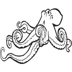 Раскраска: осьминог (Животные) #18966 - Раскраски для печати