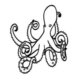 Раскраска: осьминог (Животные) #19011 - Раскраски для печати