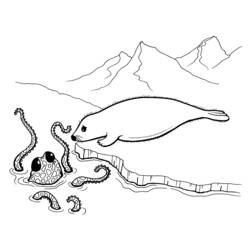 Раскраска: осьминог (Животные) #19023 - Раскраски для печати